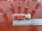 Authentic Croatian Gift, Precious Mediterranean coral, Natural Decorative Piece, Croatia Gift, Home Decoration, Small Bottle Ornament - CroatianJewelryCraft